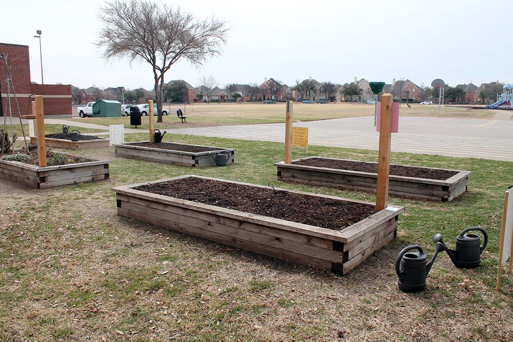 A service project garden