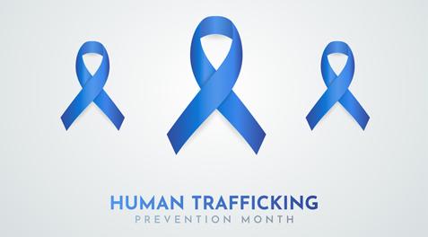 Blue ribbons with text reading "Human Trafficking Prevention Month".