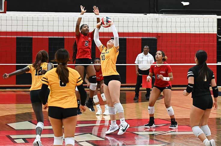 High school girls reaching for volleyball above net during game between NGHS Raiders and GHS Owls.